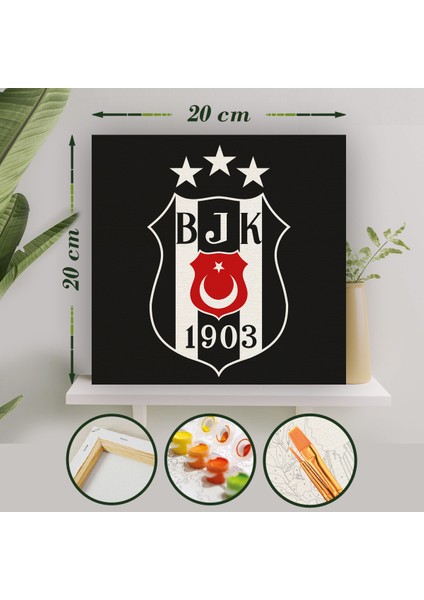 Sayılarla Boyama 20X20 Tuval Seti Fırça Boya Dahil Çıtaya Gerili - Beşiktaş