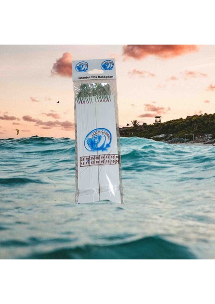 2’li 10 Iğneli Yeşil Çapari – Deniz Balıkçılığı Takımı