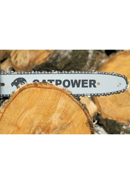Catpower 2015 Benzinli Ağaç Kesme (30CM) fiyatları