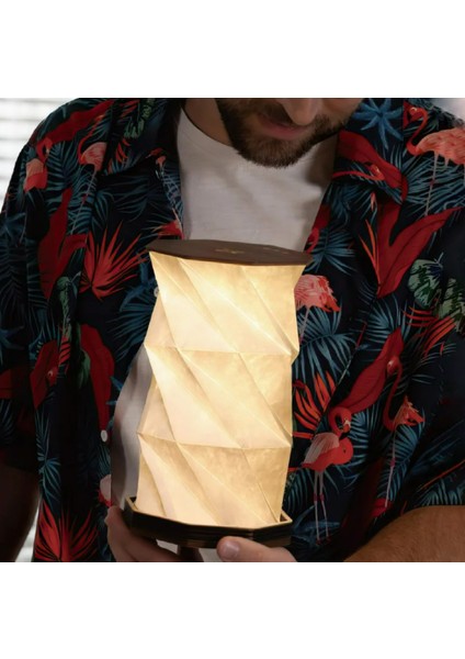 Dönen Kitap Işığı Abs Ahşap ve Kağıt Lamba Taşınabilir USB Şarj Edilebilir