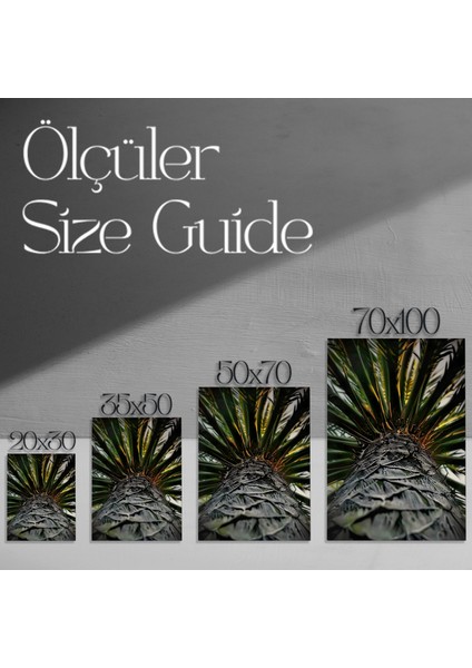 Tropikal Plaj Palmiyesi Tablosu modelleri