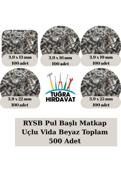 Rysb Pul Başlı Matkap Uçlu Vida Beyaz 3.9 mm (13-16-19-22-25 Mm) 500 Adet