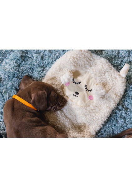 Yavru Köpek Oyuncağı, Peluş, Beyaz, 40X22X5CM Lzwdr fırsatları