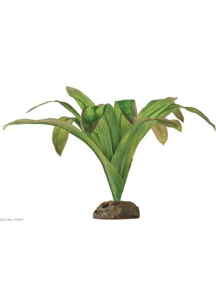 Exo Terra Teraryum Için Plastik Bitki Lzwdr