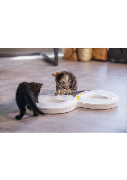 Yavru Kedi Oyuncağı, 50X24X5,5CM Lzwdr fiyatları