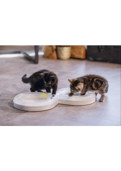 Yavru Kedi Oyuncağı, 50X24X5,5CM Lzwdr indirimleri