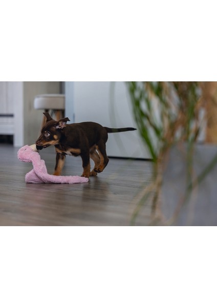 Yavru Köpek Oyuncağı, Flamingo, Peluş, Pembe, 43X24X4CM Lzwdr fırsatları