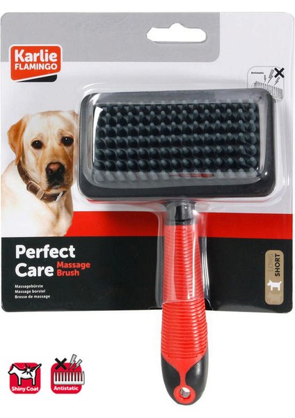 Karlıe Masaj Fırçası 19X12X4 cm Kırm.-Siyah Lzwdr