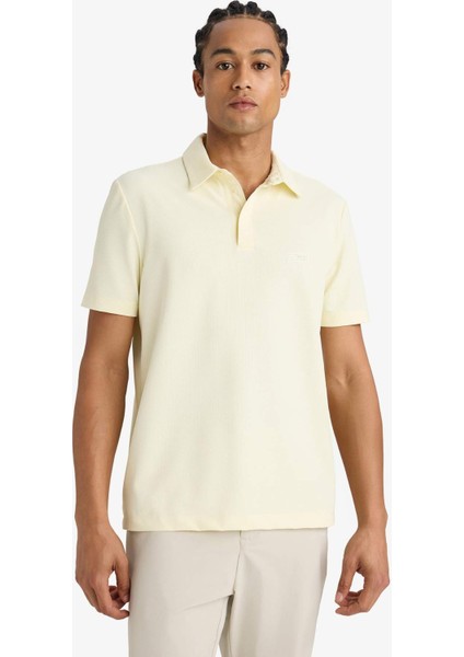 Standart Fit Polo Yaka Basic Düz Sporcu Dokuma Kısa Kollu Tişört F8637AX25AU