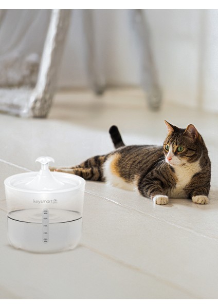 P 101 Evcil Hayvan Otomatik Su Pınarı