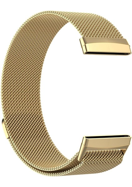 Metal Watch Strap Boyut: S (Yurt Dışından) fiyatları