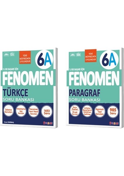 Okul 2025 6. Sınıf Türkçe + Paragraf A Serisi Soru Seti 2 Kitap