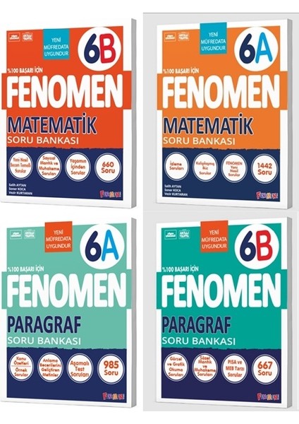 Okul 2025 6. Sınıf Matematik + Paragraf A + B Serisi Soru Seti 4 Kitap