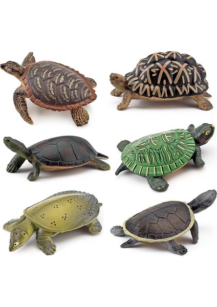 Amfibi Sürüngen Modeli Kaplumbağa Timsah Kaplumbağa Çim Kaplumbağası Brezilya Kaplumbağası Çin Yumuşak Kabuklu Kaplumbağa Süs Modeli (Yurt Dışından)