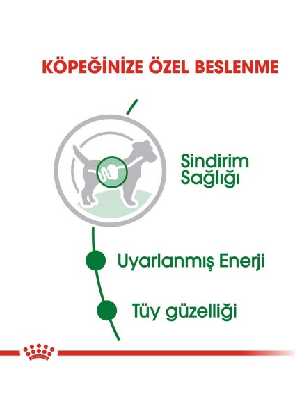 Mini Adult Pouch Yetişkin Köpek Konservesi 85 Gr fırsatları