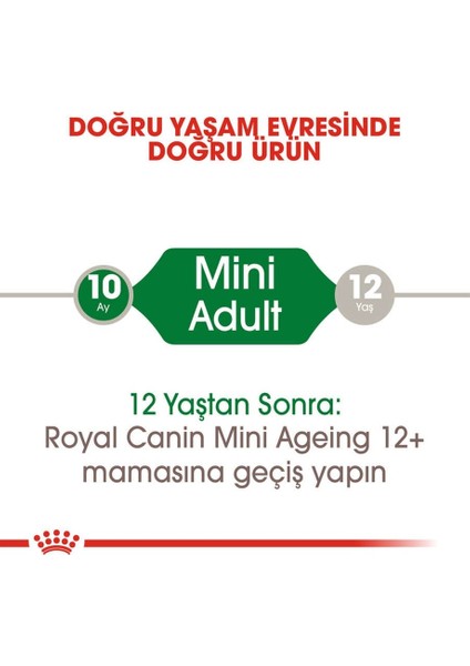 Mini Adult Pouch Yetişkin Köpek Konservesi 85 Gr indirimleri
