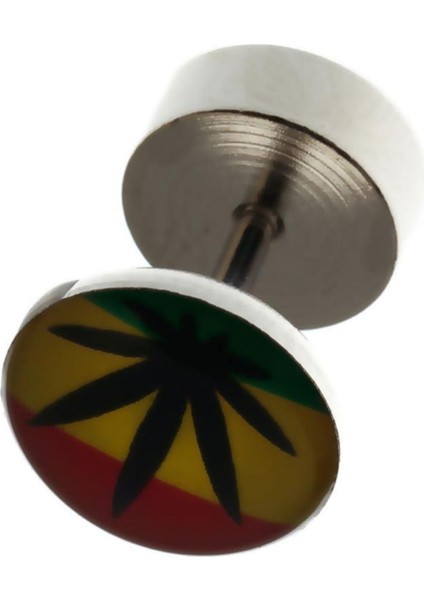 316 L Çelik Hemp Figür Vidalı Küpe K1