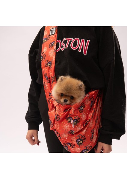 Spider Halloween Crossbody Çanta Kedi Köpek Taşıma Çantası