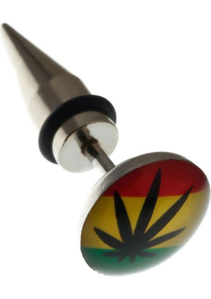 316 L Çelik Hemp Figür Tapers Küpe K2