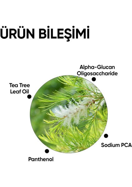 Yüz Yıkama Jeli - Tüm Cilt Tipleri için Leke , Çay Ağacı Özlü Derin Temizlik, 200 ml