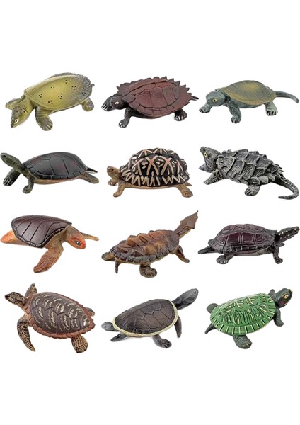 Amfibi Sürüngen Modeli Kaplumbağa Timsah Kaplumbağa Çim Kaplumbağası Brezilya Kaplumbağası Çin Yumuşak Kabuklu Kaplumbağa Süs Modeli (Yurt Dışından)