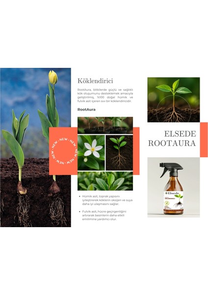 RootAura Köklendirici – Süs Bitkileri İçin Hümik & Fulvik Asitli Kök Geliştirici Sprey fırsatları