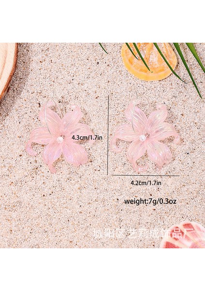 Kişiselleştirilmiş Moda Küpeler Kadın Avrupa ve Amerikan Kişiliği Tatlı ve Sevimli Trend Küpeler (Yurt Dışından) fiyatları