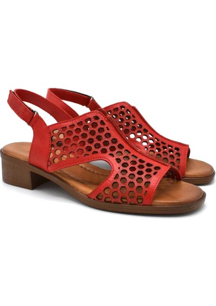 Kadın Deri Sandalet Kırmızı 22986007