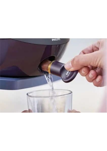 Perfectcare 8000 Seri T-Ionic Glide TABAN,2700 W Buhar Kazanlı Ütü , PSG8160/30