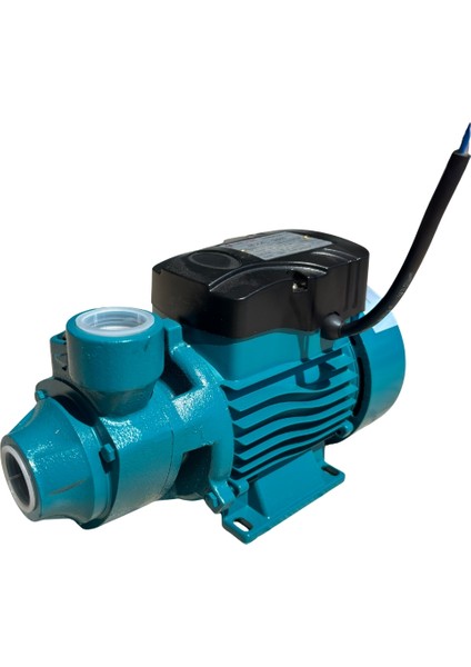 0.5 HP QB60 Elektrikli Su Pompası | 35 m Basma Yüksekliği, 7 m Emiş – Çıplak Pompa