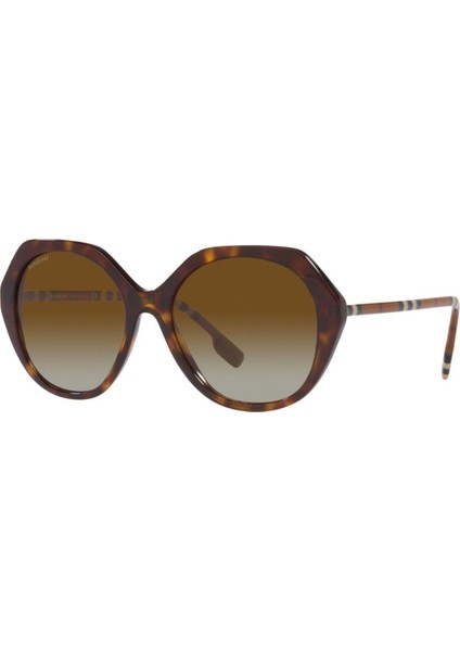 4375 4017T5 55 Kadın Güneş Gözlüğü