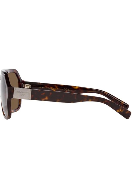 DG/S 4433 502/73 58 Unisex Güneş Gözlüğü modelleri