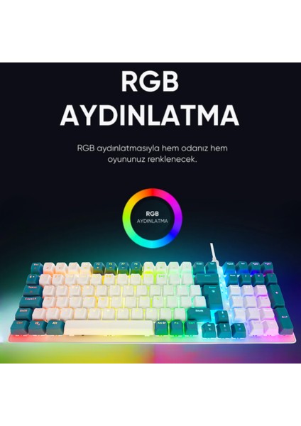 Emachines EAK100 Beyaz/yeşil USB Rgb Backlight Red Swıtch Mekanik Q 101 Tuşlu Compact Gaming Klavye modelleri