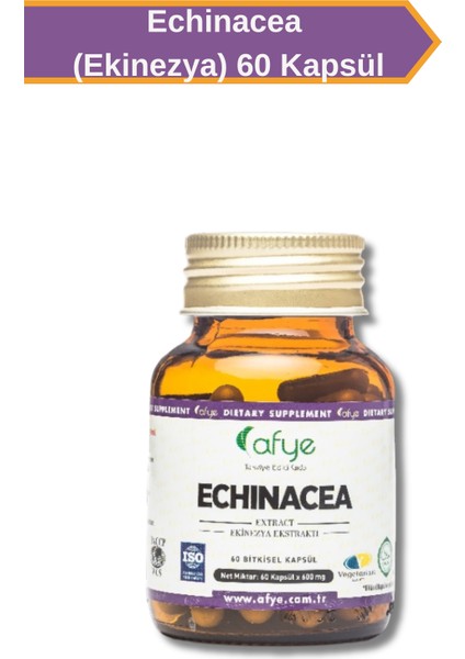 Ekinezya (60 Kapsül)
