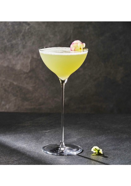 Diverto Martini Kadehi - 200 ml - 6lı Set modelleri