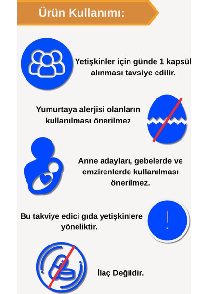 Eggshell Membrane 30 Kapsül fırsatları