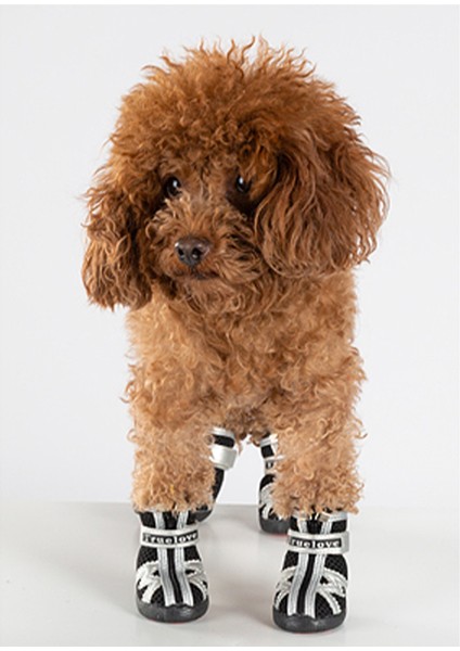 Fermuarlı, Siyah Köpek Ayakkabısı modelleri