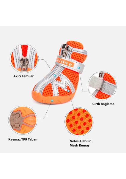 Fermuarlı, Siyah Köpek Ayakkabısı indirimleri