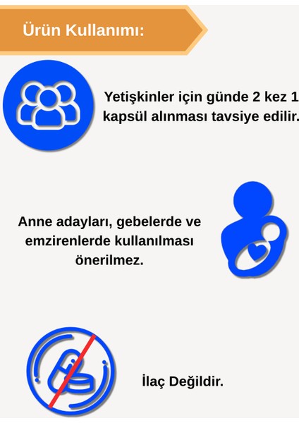 Grape Seed (Üzüm Çekirdeği)60 Kapsül modelleri