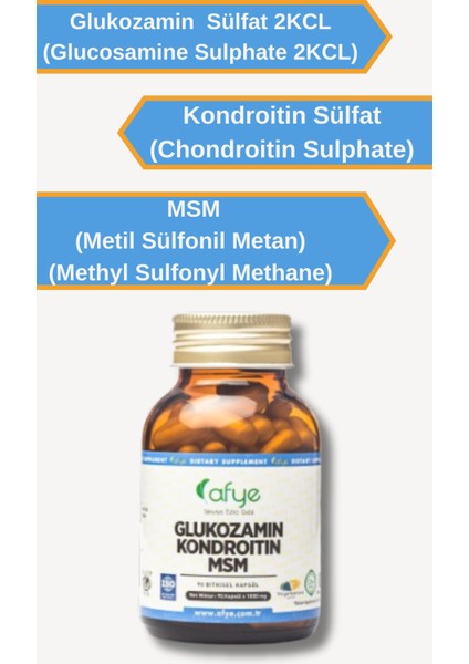 Glukozamin Kondroitin Msm 1000MG (90 Kapsül) fiyatları