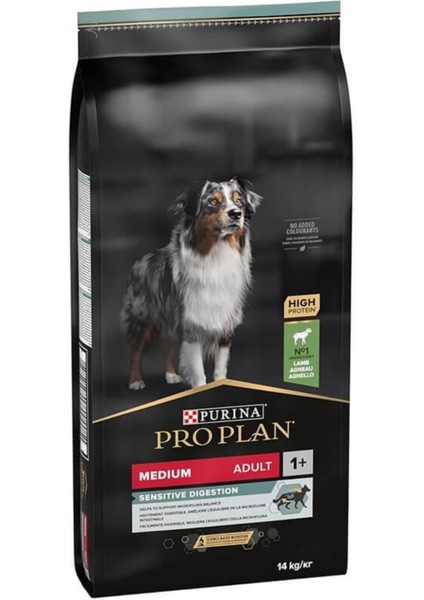 Medium Adult Kuzu Etli Köpek Maması - 14 Kg