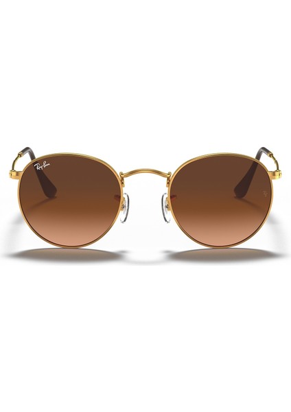 RAYBAN 3447 GÜNEŞ GÖZLÜĞÜ fiyatları