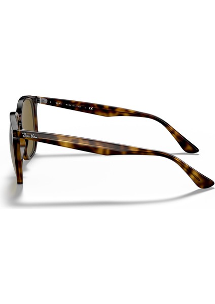 RB4306 710/73 Unisex Güneş Gözlüğü fırsatları