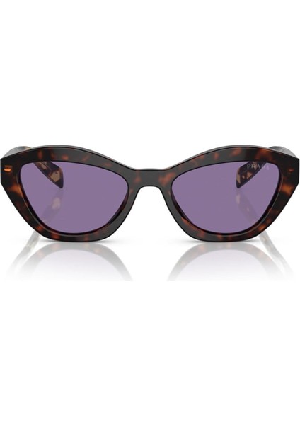 0PRA02S 17N50B 52-19 fiyatları