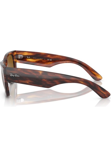 Rayban 0RB0840S 954/33 51 Kadın Güneş Gözlüğü fiyatları