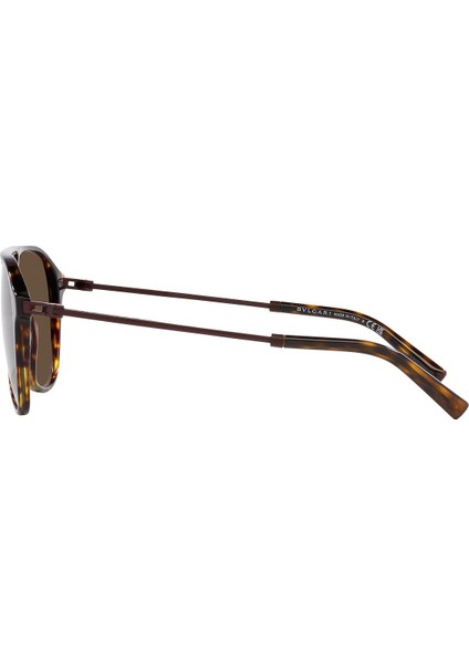 7038 504/53 57 Kadın Güneş Gözlüğü modelleri