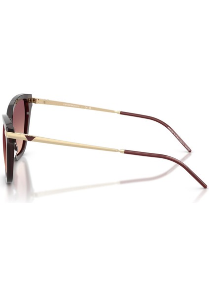 EA4251 62658D 54 Kadın Güneş Gözlüğü modelleri