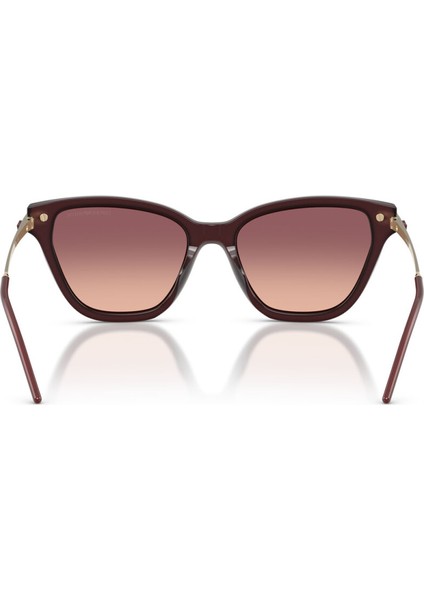 EA4251 62658D 54 Kadın Güneş Gözlüğü fırsatları