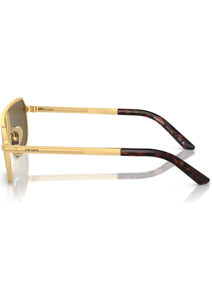 SPRA53S 1BK01T Gold Erkek Güneş Gözlüğü modelleri
