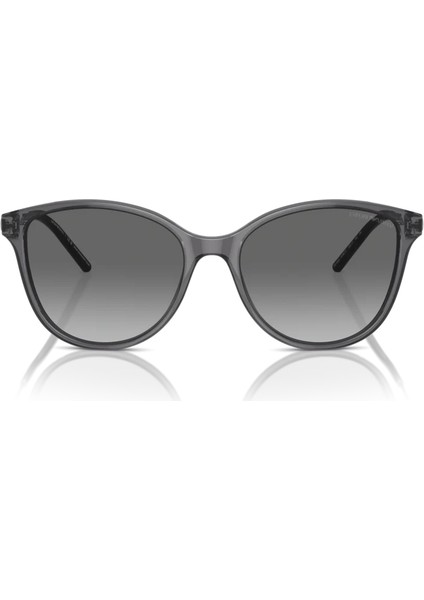 EA4220 610611 54 Unisex Güneş Gözlüğü fiyatları